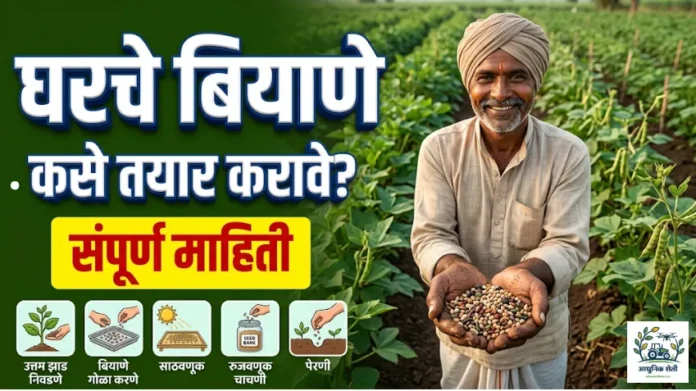 desi-biyane-seed-production