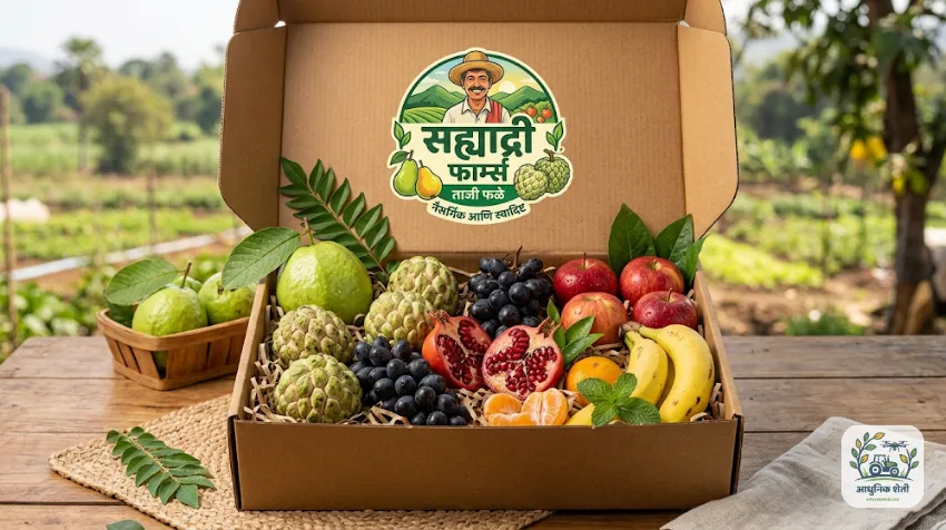 शेतमालाचे आकर्षक पॅकेजिंग आणि ब्रँडिंग