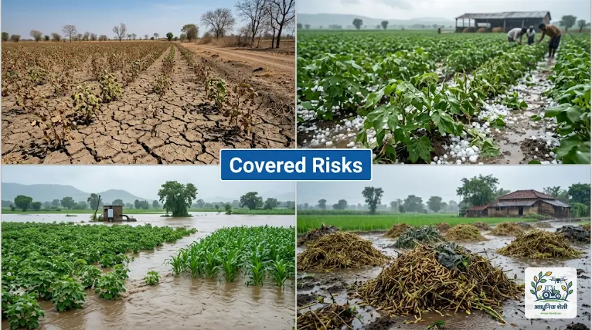विमा संरक्षणात कोणत्या जोखमींचा (Risks) समावेश होतो?
