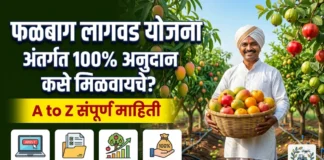 फळबाग लागवड योजना 2026: 100% अनुदानावर अशी करा लागवड फळबाग लागवड योजना महाराष्ट्र