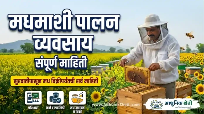 मधमाशी पालन व्यवसाय: कमी खर्चात जास्त नफा देणारा कृषी पूरक उद्योग (A to Z माहिती)