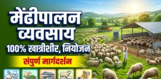 मेंढीपालन व्यवसाय (Mendhipalan): ५ सोप्या स्टेप्समध्ये १००% खात्रीशीर नफा व नियोजन (संपूर्ण माहिती) आधुनिक पद्धतीचा मेंढीपालन व्यवसाय आणि शेड नियोजन