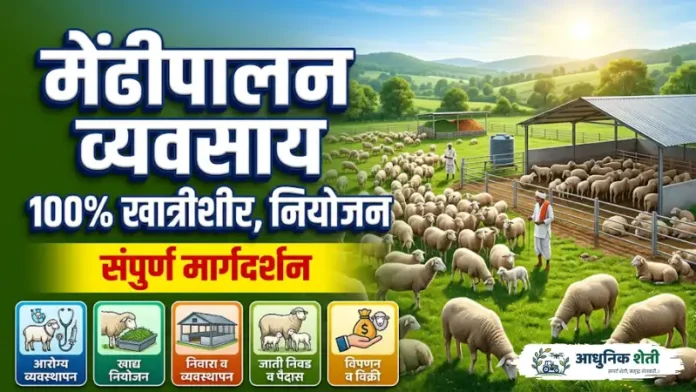 आधुनिक पद्धतीचा मेंढीपालन व्यवसाय आणि शेड नियोजन