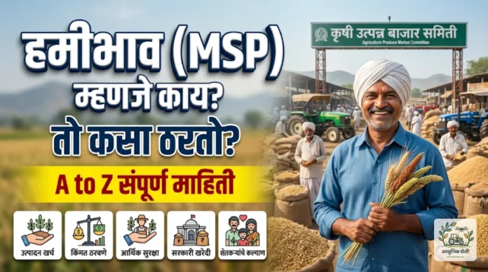 हमीभाव (MSP) म्हणजे काय आणि शेतकऱ्यांसाठी माहिती