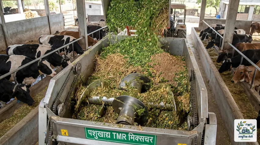टी.एम.आर. (TMR - Total Mixed Ration) तंत्रज्ञान
