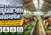 यशस्वी दुग्ध व्यवसायासाठी आधुनिक गोठा व्यवस्थापन: संपूर्ण माहिती (Modern Dairy Farm Shed) आधुनिक गोठा व्यवस्थापन आणि शेड डिझाईन