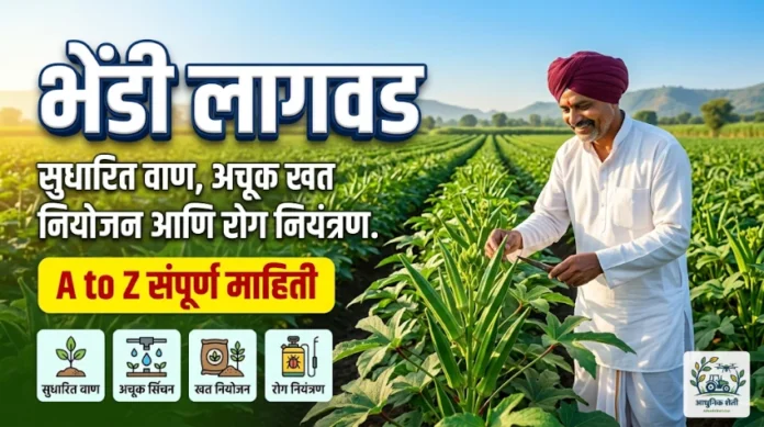 भेंडी लागवड संपूर्ण माहिती आणि आधुनिक शेती तंत्रज्ञान