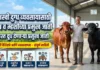 यशस्वी दुग्ध व्यवसायासाठी गाय व म्हशीच्या प्रमुख जाती (Top High Yielding Breeds) यशस्वी दुग्ध व्यवसायासाठी गाय व म्हशीच्या प्रमुख जाती (Top High Yielding Breeds)