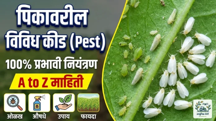 पिकावरील विविध कीड आणि एकात्मिक कीड नियंत्रण व्यवस्थापन