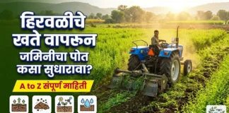 हिरवळीचे खते (Green Manure): ताग, धैंचा लागवड ते फायदे | संपूर्ण माहिती हिरवळीचे खते (Green Manure): ताग, धैंचा लागवड ते फायदे