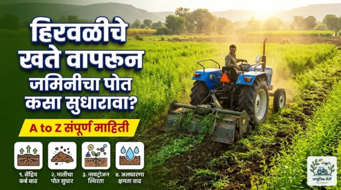 हिरवळीचे खते (Green Manure): ताग, धैंचा लागवड ते फायदे