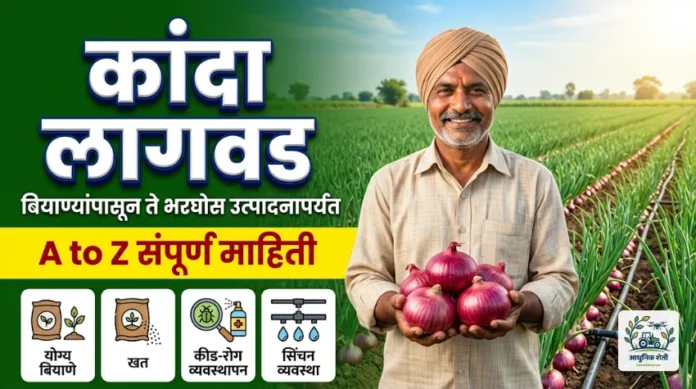 कांदा लागवड (Onion Farming): बियाण्यांपासून ते भरघोस उत्पादनापर्यंत A to Z माहिती