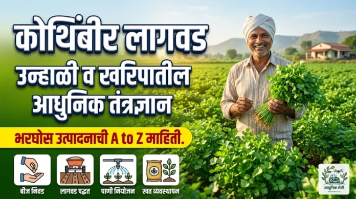 कोथिंबीर पिकावरील रोग आणि कीड नियंत्रण फवारणी