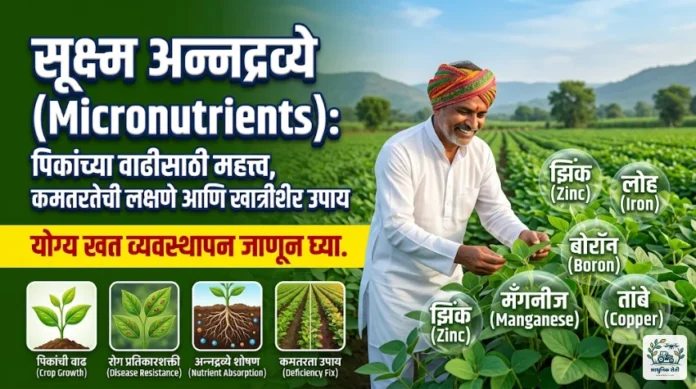 पिकांच्या वाढीसाठी सूक्ष्म अन्नद्रव्ये
