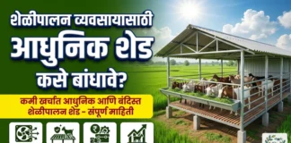 शेळीपालन व्यवसायासाठी आधुनिक शेड कसे बांधावे? | Modern Goat Shed Design in Marathi आधुनिक शेळीपालन शेड आणि बंदिस्त गोठा