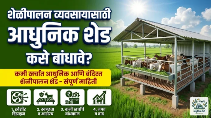 आधुनिक शेळीपालन शेड आणि बंदिस्त गोठा