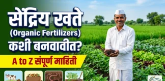 सेंद्रिय खते: प्रकार, फायदे आणि घरच्या घरी बनवण्याची संपूर्ण माहिती (Organic Fertilizers in Marathi) सेंद्रिय खते: प्रकार, फायदे आणि घरच्या घरी बनवण्याची संपूर्ण माहिती (Organic Fertilizers in Marathi)