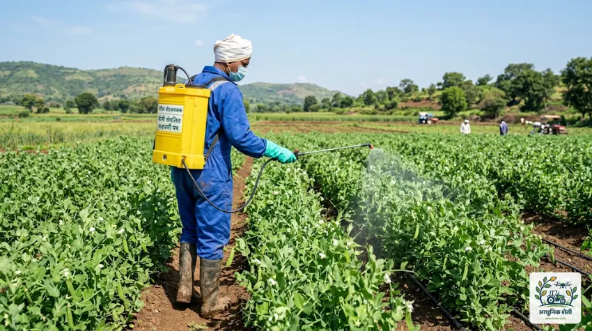 एकात्मिक कीड आणि रोग नियंत्रण (Pest & Disease Control)