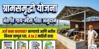 शरद पवार ग्रामसमृद्धी योजना 2026: गाय-म्हैस गोठा शेड अनुदान, असा करा अर्ज! शरद पवार ग्रामसमृद्धी योजना गाय गोठा अनुदान