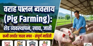 वराह पालन व्यवसाय (Pig Farming): कमी खर्चात जास्त नफा मिळवण्याचा संपूर्ण माहिती Title (H1): वराह पालन व्यवसाय (Pig Farming)