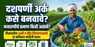 दशपर्णी अर्क निर्मिती आणि फवारणीचे प्रमाण: सेंद्रिय शेतीचा 100% ब्रह्मास्त्र दशपर्णी अर्क निर्मिती आणि फवारणीचे प्रमाण