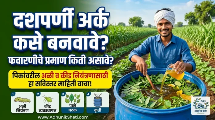 दशपर्णी अर्क निर्मिती आणि फवारणीचे प्रमाण