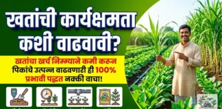 खतांची कार्यक्षमता कशी वाढवावी? | How to Increase Fertilizer Use Efficiency in Marathi खतांची कार्यक्षमता (Fertilizer Use Efficiency) वाढवण्याचे उपाय - आधुनिक शेती