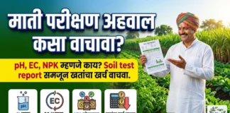 माती परीक्षण अहवाल कसा वाचावा? (Soil Test Report) समजून घेण्याची सर्वात सोपी पद्धत माती परीक्षण अहवाल कसा वाचावा? (Soil Test Report) समजून घेण्याची सर्वात सोपी पद्धत