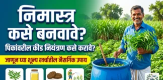 निमास्त्र बनवण्याची पद्धत आणि कीड नियंत्रण: सविस्तर माहिती | Nimastra in Marathi निमास्त्र बनवण्याची पद्धत आणि शेतीतील कीड नियंत्रण