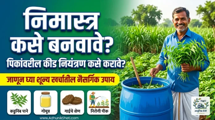 निमास्त्र बनवण्याची पद्धत आणि शेतीतील कीड नियंत्रण