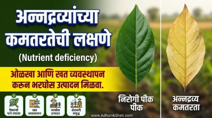 पिकांमधील अन्नद्रव्यांच्या कमतरतेची लक्षणे