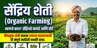 सेंद्रिय शेती (Organic Farming) म्हणजे काय? फायदे, तोटे आणि पद्धती (संपूर्ण माहिती) सेंद्रिय शेती म्हणजे काय आणि फायदे