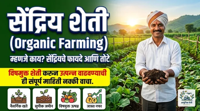 सेंद्रिय शेती म्हणजे काय आणि फायदे