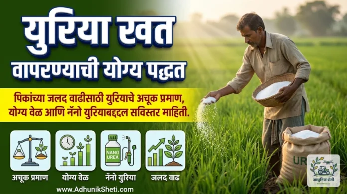 युरिया खत वापरण्याची योग्य पद्धत आणि प्रमाण